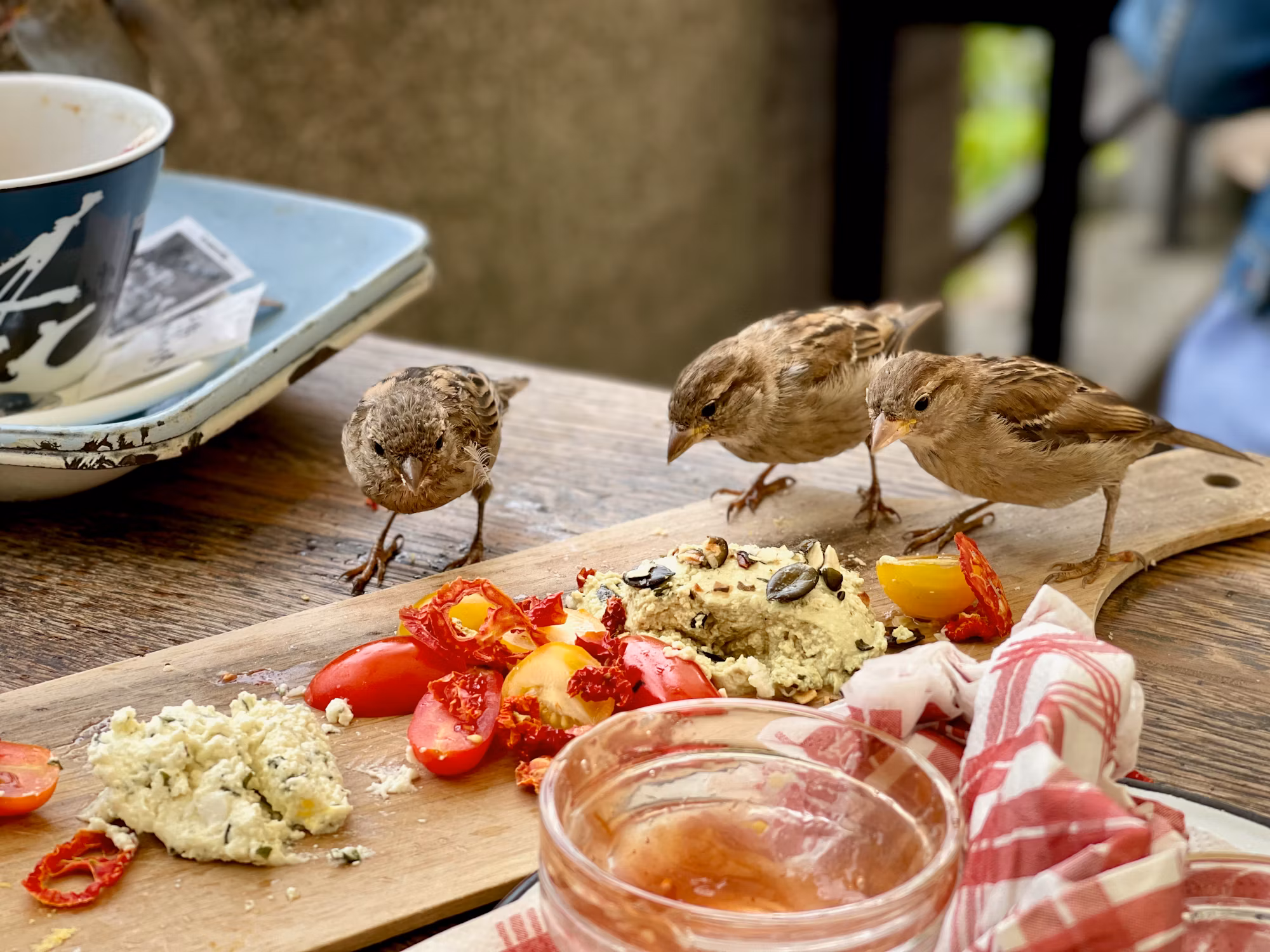 Culinary Journeys: A Guide to Diverse Restaurant Experiences